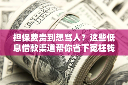 济南担保费贵到想骂人？这些低息借款渠道帮你省下冤枉钱