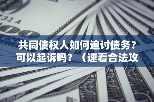 济南共同债权人如何追讨债务？可以起诉吗？（速看合法攻略）