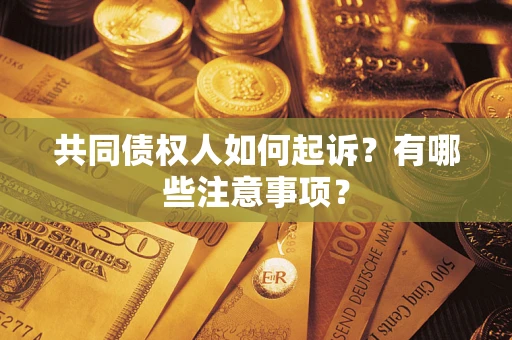 济南共同债权人如何起诉？有哪些注意事项？